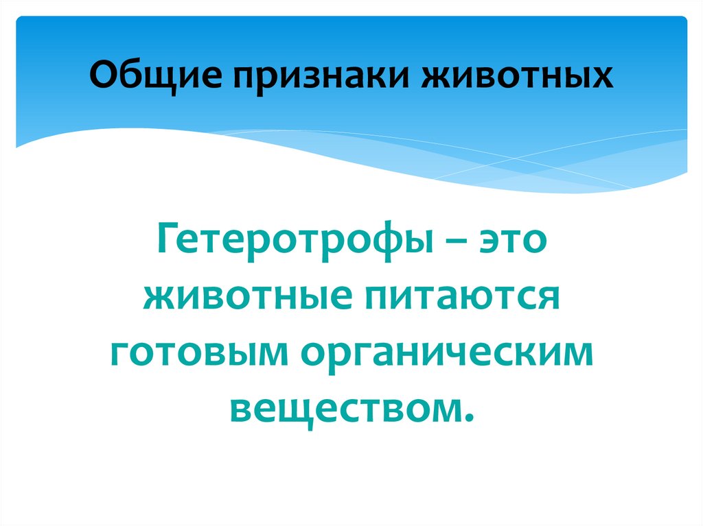 Признаки животных презентация. Признаки царства животных 5 класс. Признаки животных 7 класс. Основные признаки животных 8 класс. Общие признаки.