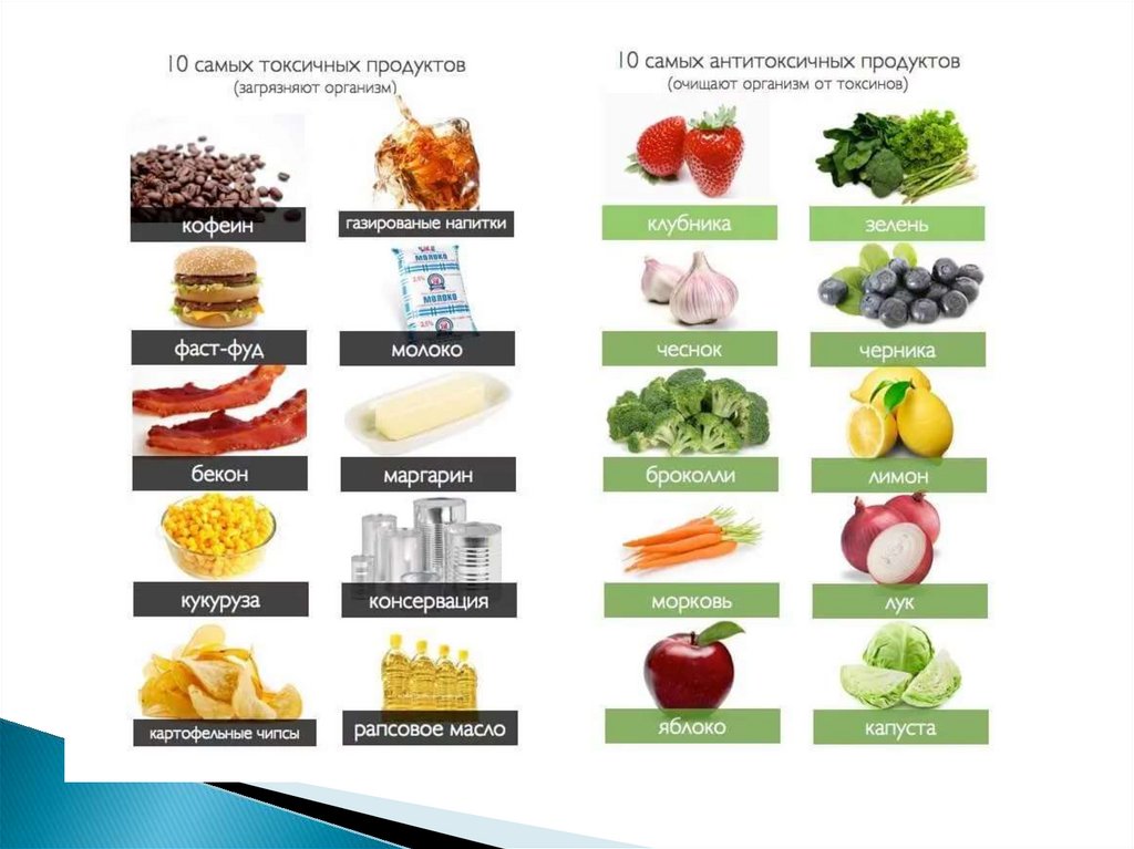 Миф vs Факт | «Не нужно делить продукты на «плохие» и «хорошие»