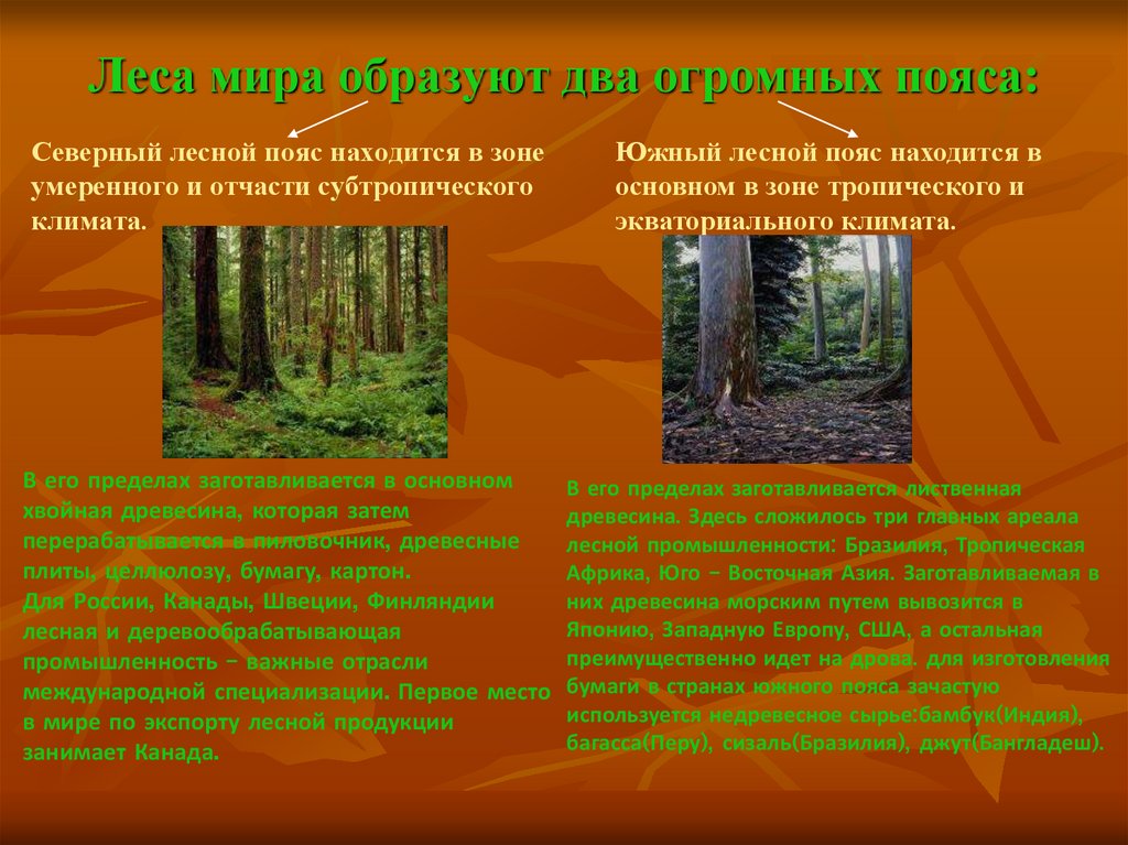 Различие леса. Лесная и деревообрабатывающая Лесной пояс. Два лесных пояса планеты.
