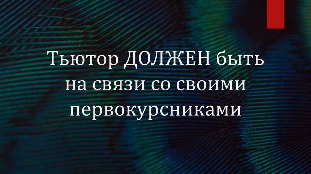 Тьютор ДОЛЖЕН быть на связи со своими первокурсниками
