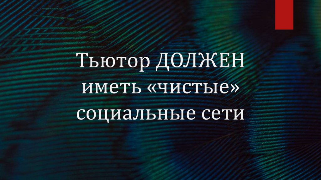 Тьютор ДОЛЖЕН иметь «чистые» социальные сети