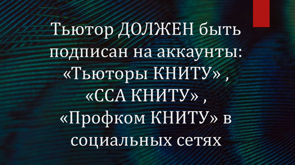 Тьютор ДОЛЖЕН быть подписан на аккаунты: «Тьюторы КНИТУ» , «ССА КНИТУ» , «Профком КНИТУ» в социальных сетях