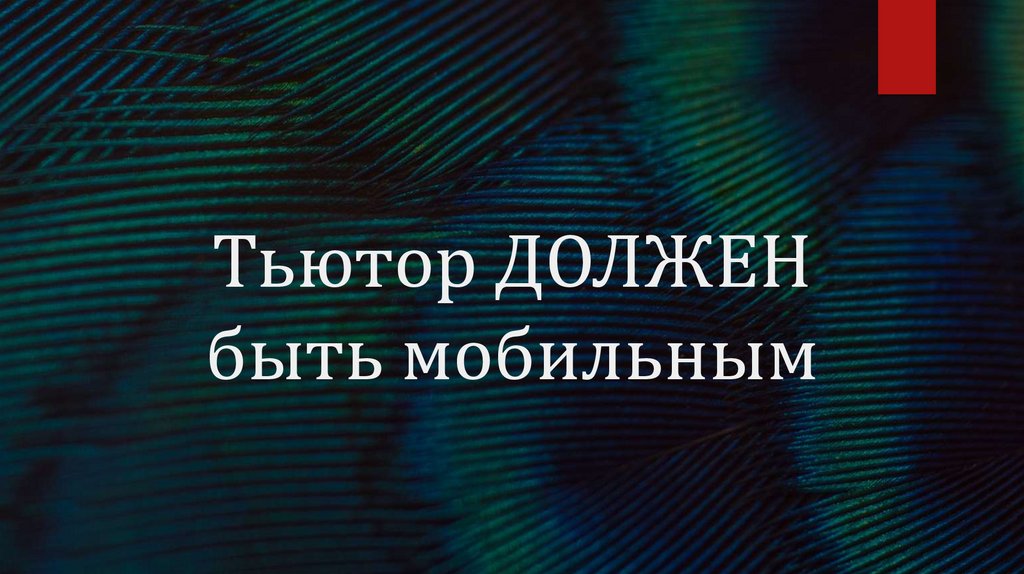 Тьютор ДОЛЖЕН быть мобильным