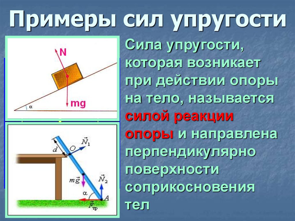 Сила упругости действует