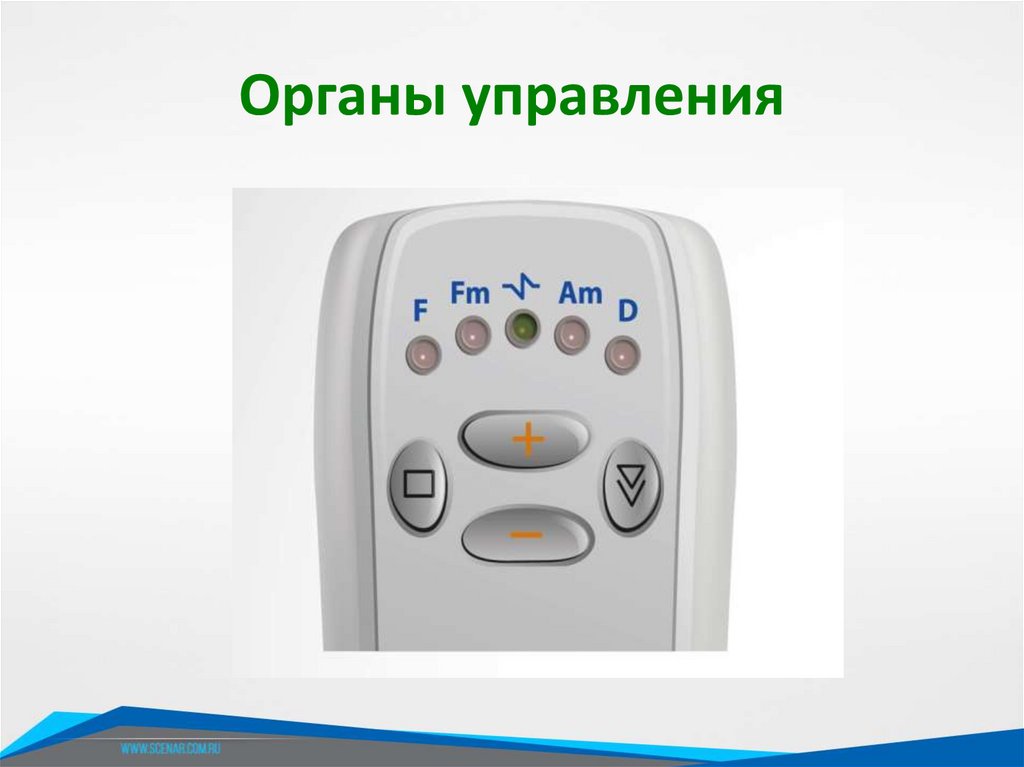 Органы управления