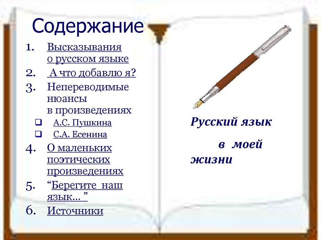 Пять высказываний. Пять высказываний о русском языке. Цитаты по русскому языку 5 класс. Пять высказываний о языке. Высказывания о языке 5 класс.