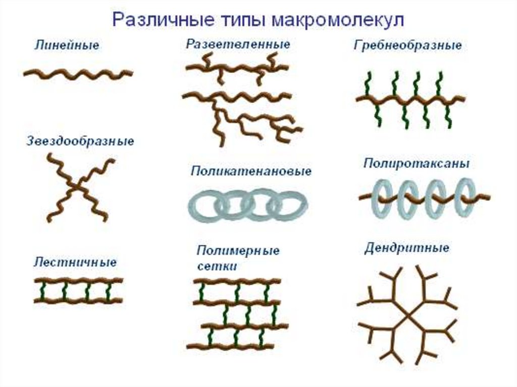 Макромолекулы. Строение молекул полимеров. Строение макромолекул полимеров. Структура макромолекул полимеров. Полимерное строение макромолекул.