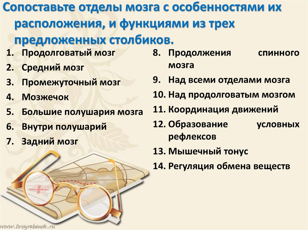 Основные термины и понятия