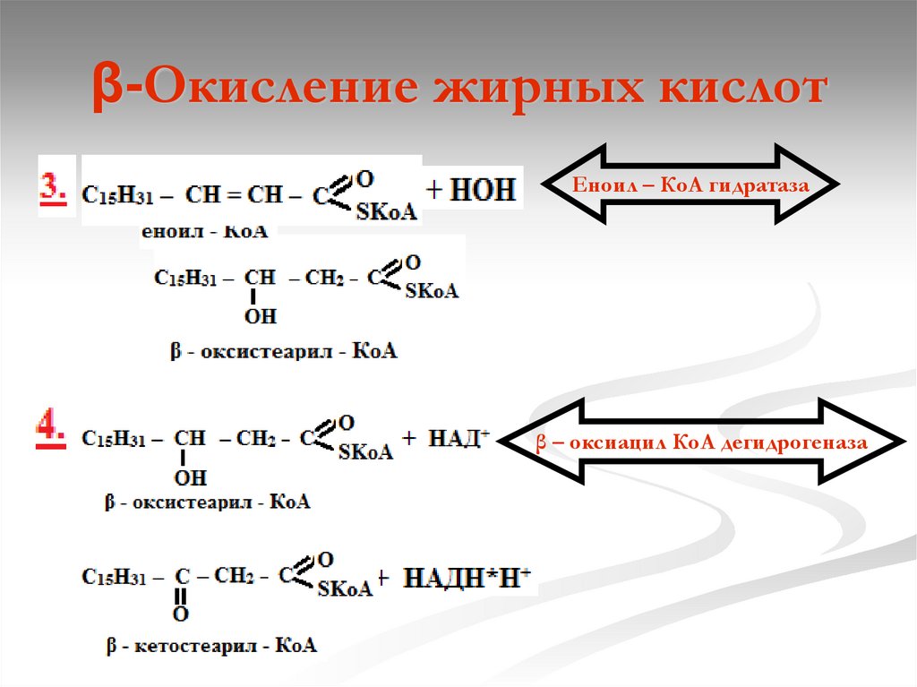 Окисление жиров