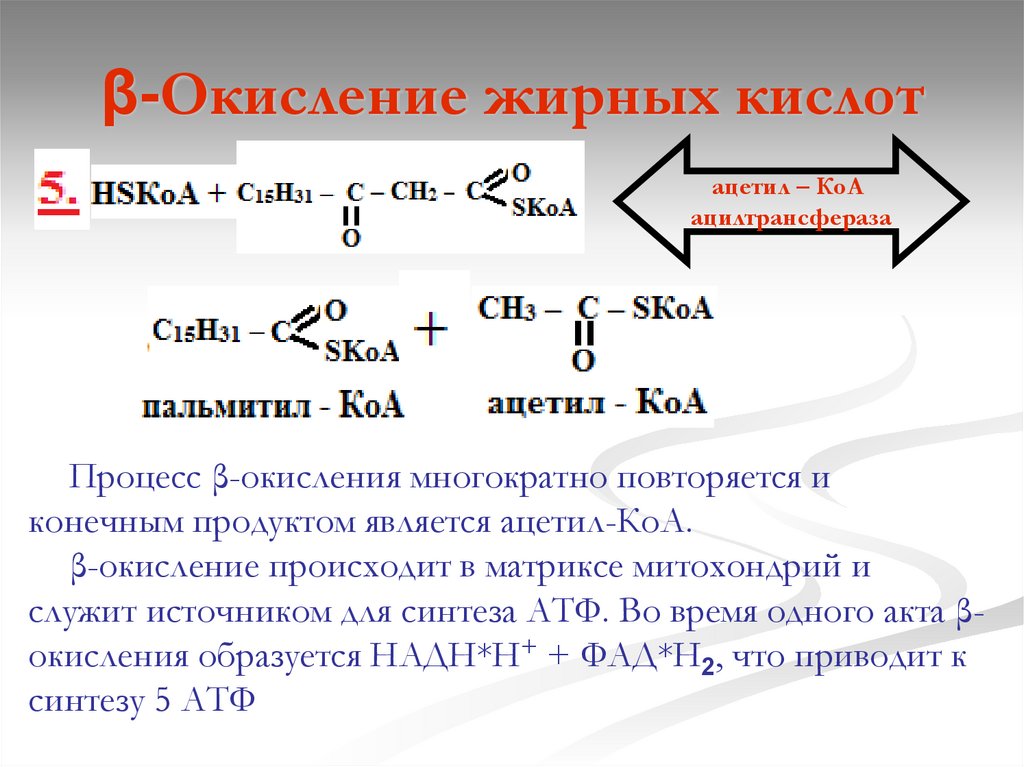 Нарушение окисления жирных кислот