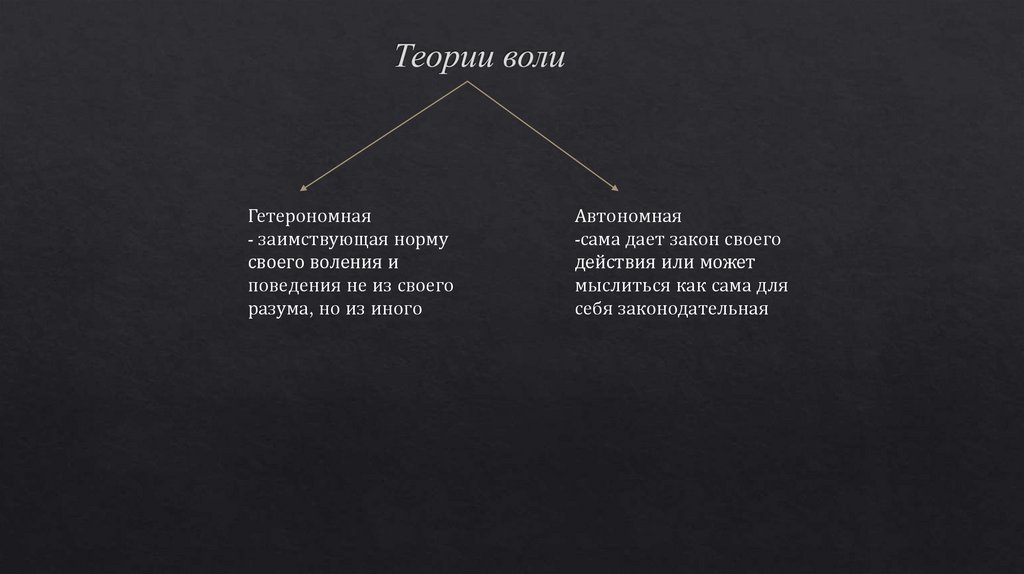 Теории воли