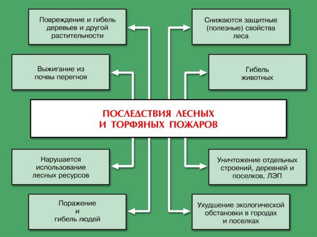 Схема лесных пожаров