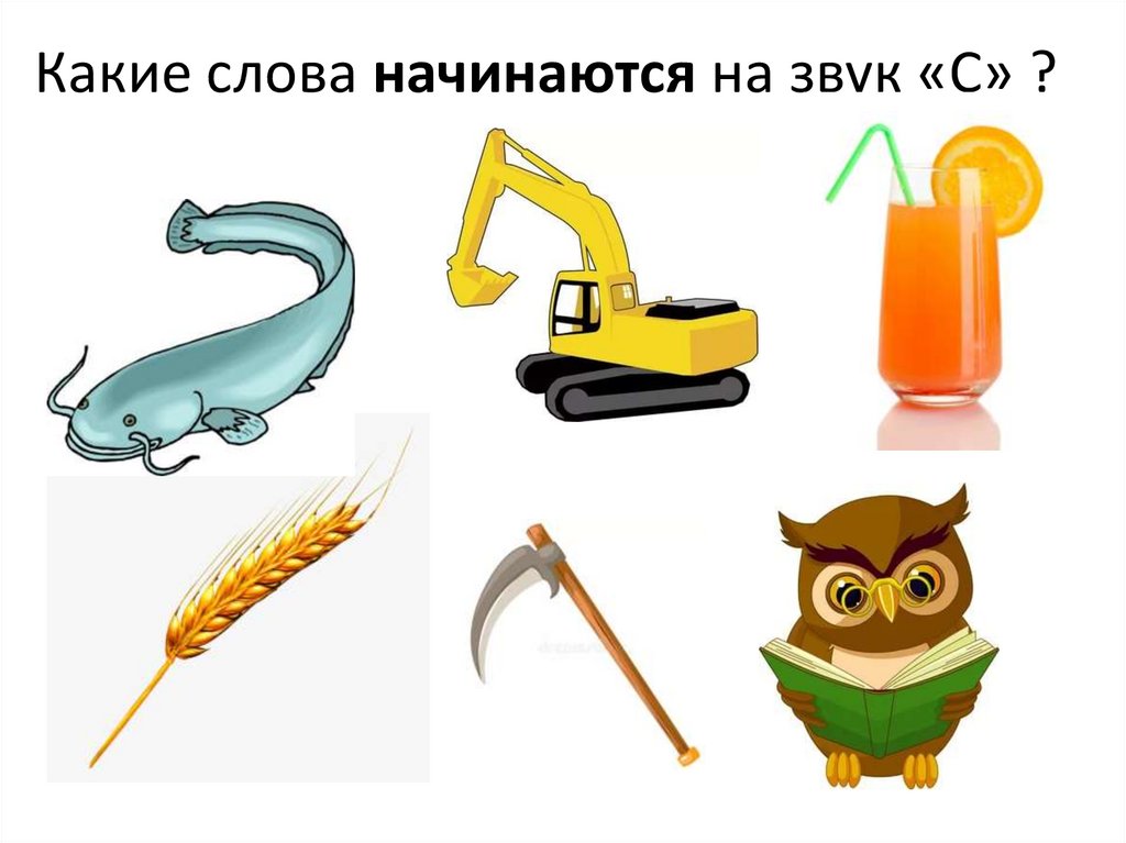 Какие слова начинаются на звук «С» ?