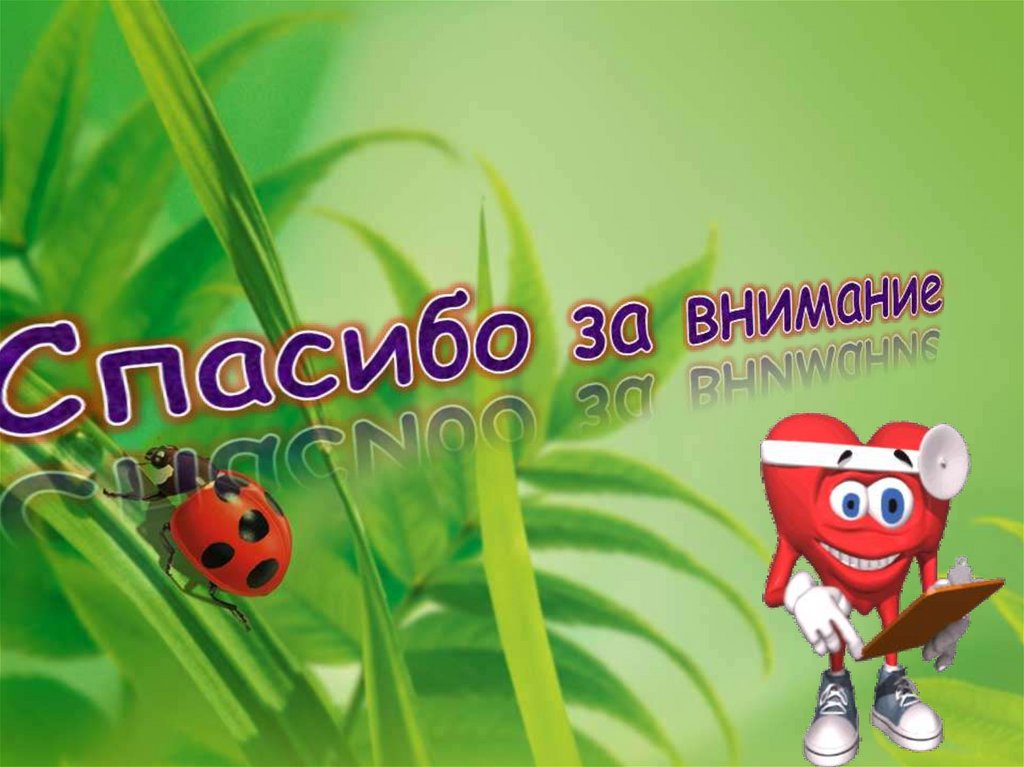 Спасибо за внимание