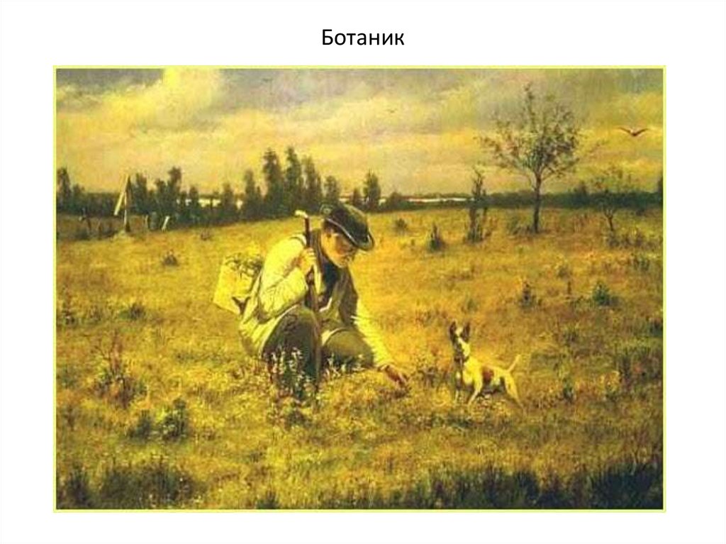 Перов ботаник. Голубятник картина Перова. Перов ботаник картина.