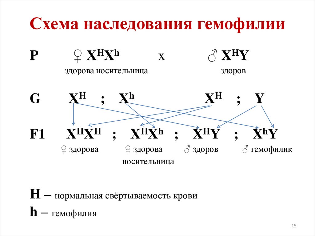 Как передается гемофилия по наследству схема