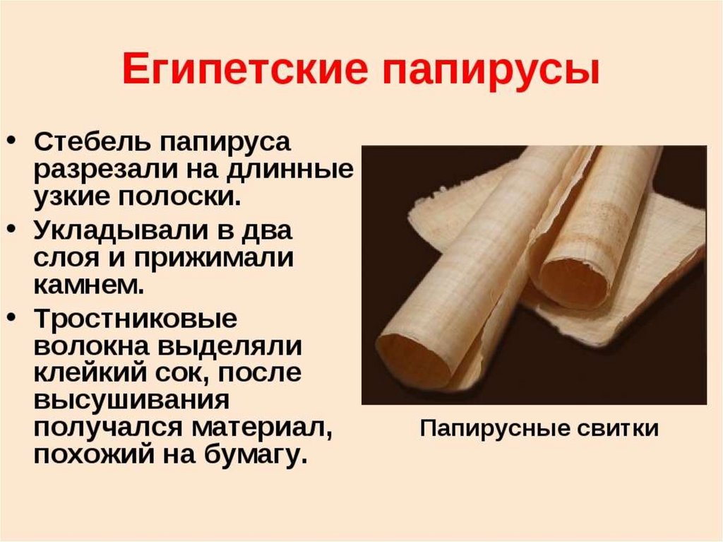 Установи соответствие папирус. Стебель папируса. Папирус для презентации. Папирусы древнего Египта для презентации. Египетские папирусы 5 класс.