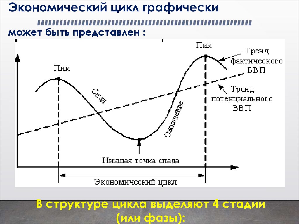 Понятие экономического цикла виды циклов