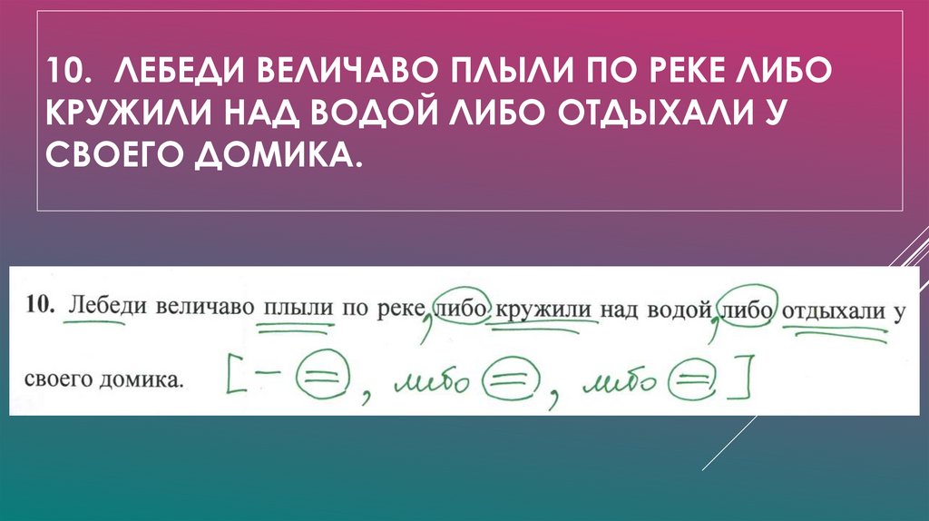 10. Лебеди величаво плыли по реке либо кружили над водой либо отдыхали у своего домика.