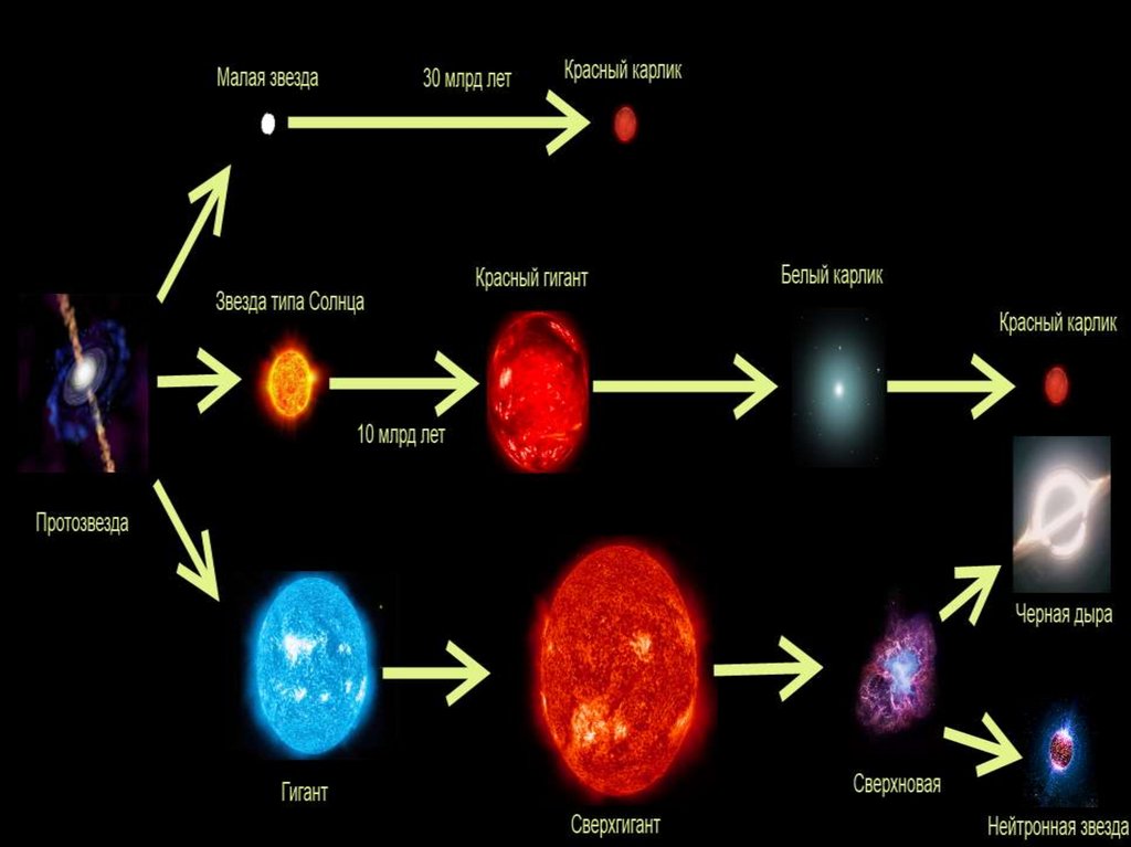Белые карлики и красные гиганты презентация