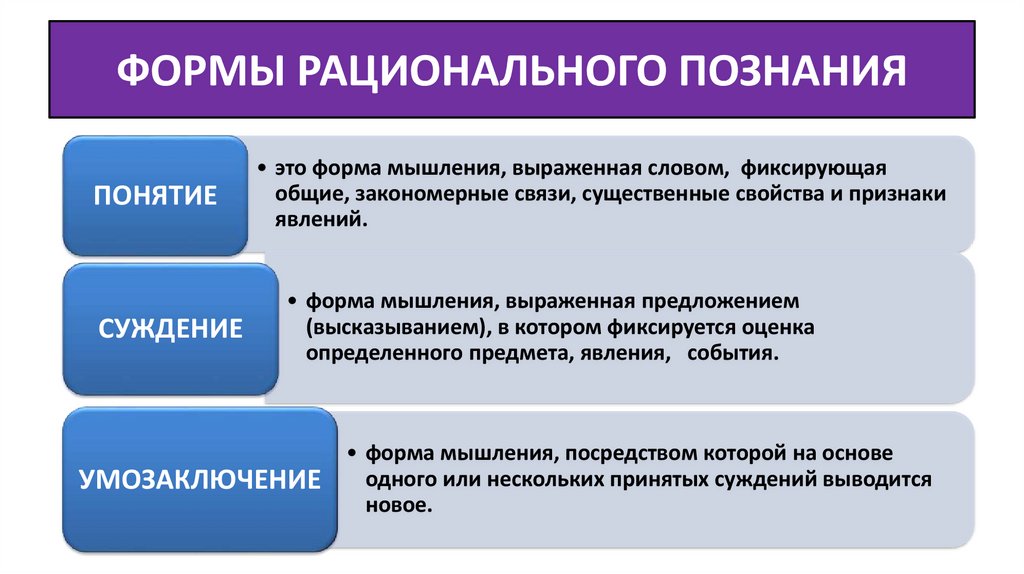 Формы рационального познания представление