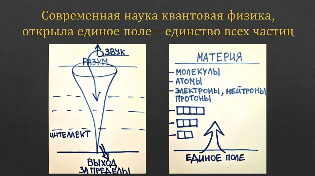 Современная наука квантовая физика, открыла единое поле – единство всех частиц