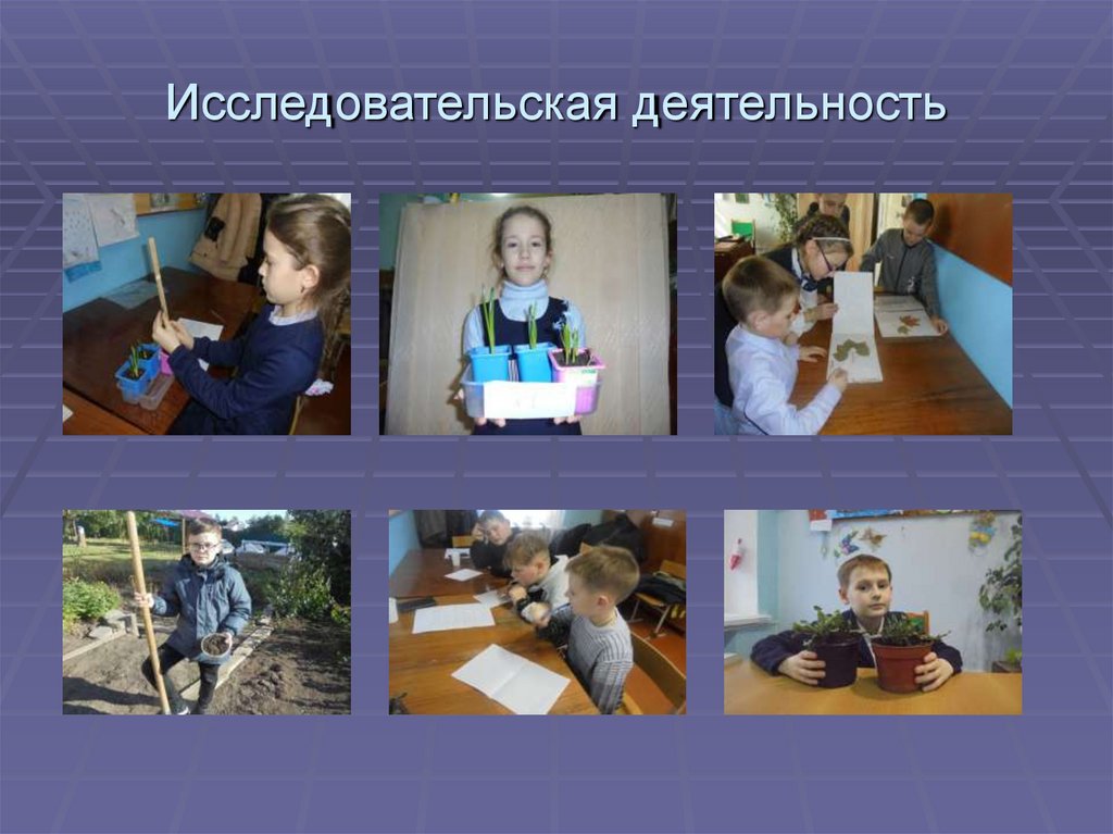 Исследовательская деятельность