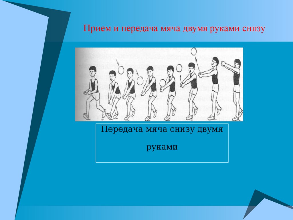 Волейбол. Спорт - презентация онлайн