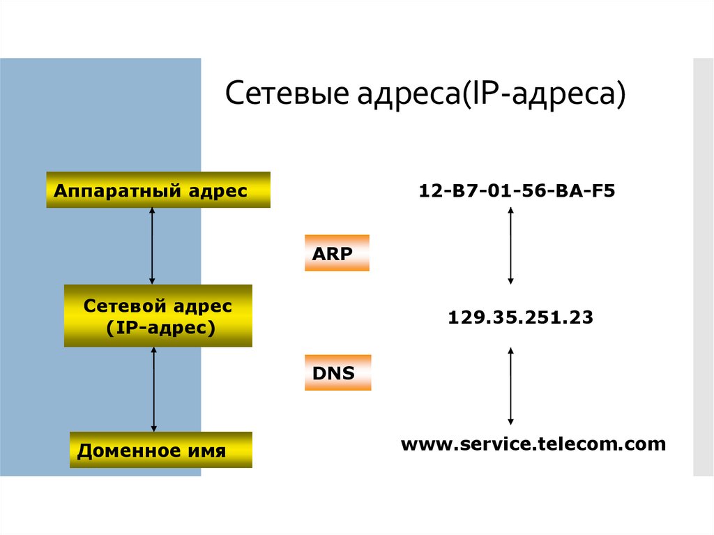 Сетевые адреса(IP-адреса)