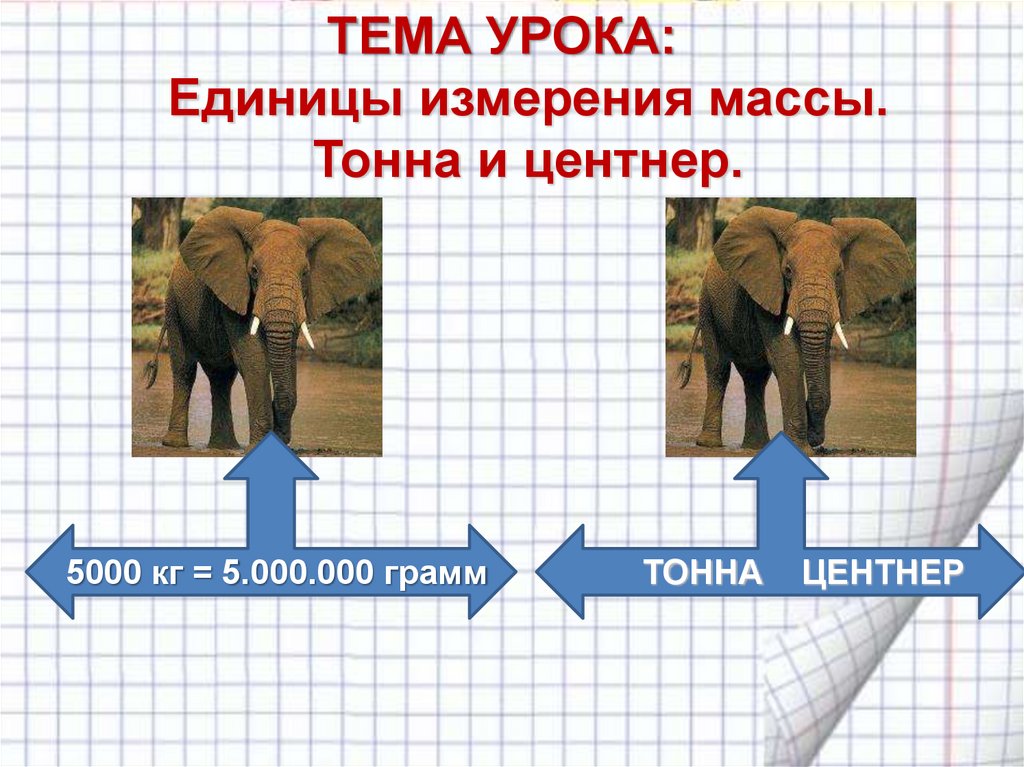 Единицы массы тонна центнер. Центнер. 5000 Центнеров в тоннах.