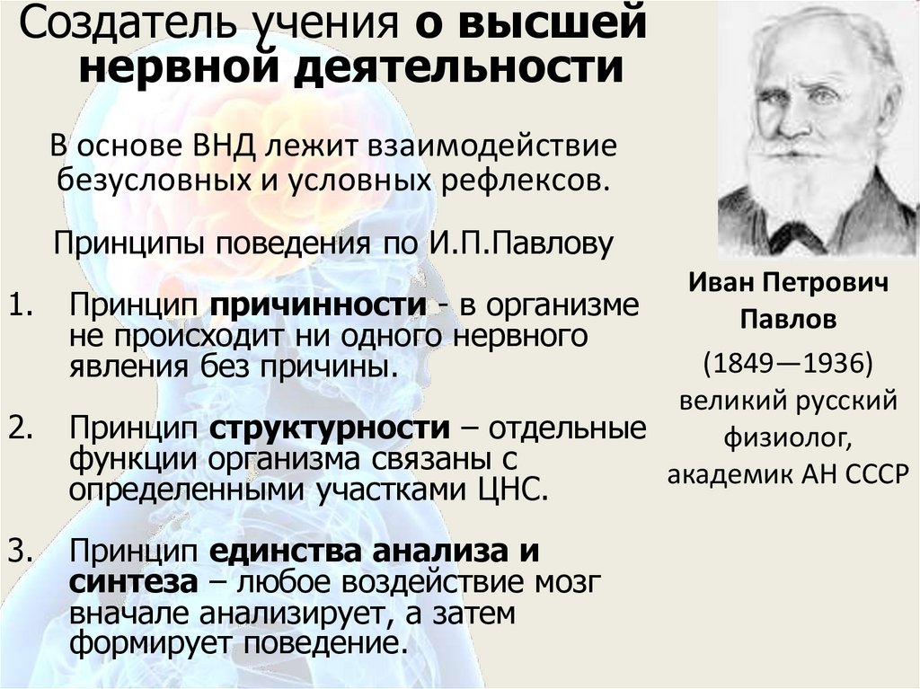 Презентация на тему высшая нервная деятельность 8 класс