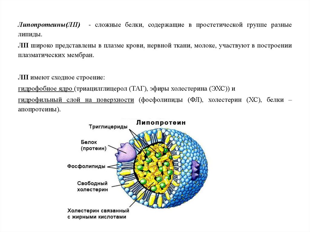 Холестерин не связанный с липопротеинами высокой