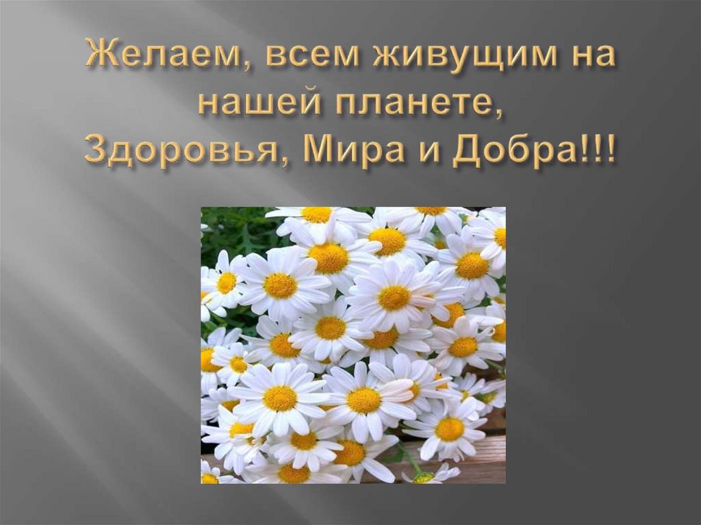 Желаем, всем живущим на нашей планете, Здоровья, Мира и Добра!!!