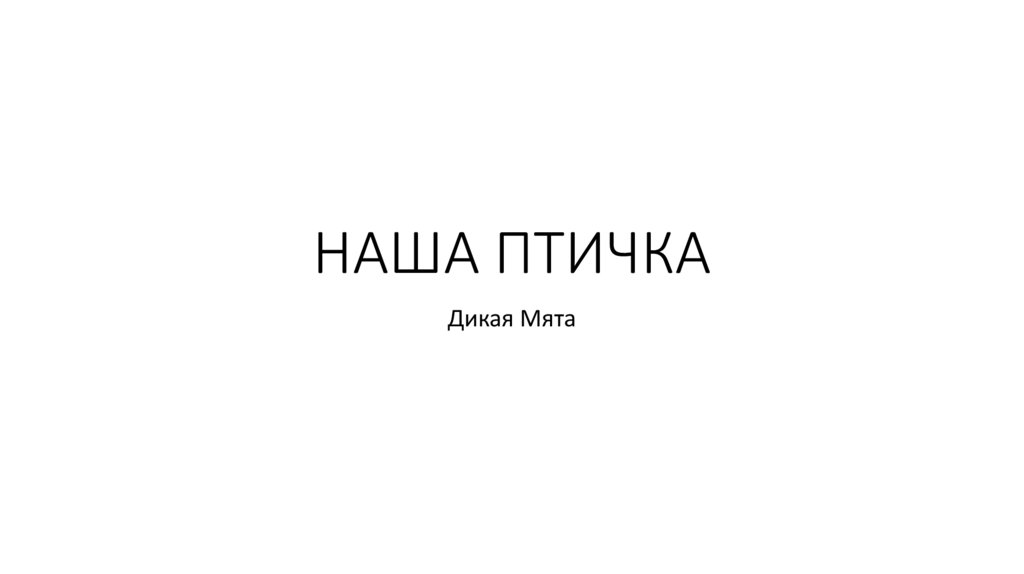 Наша птичка. Оформление ресторана - презентация онлайн
