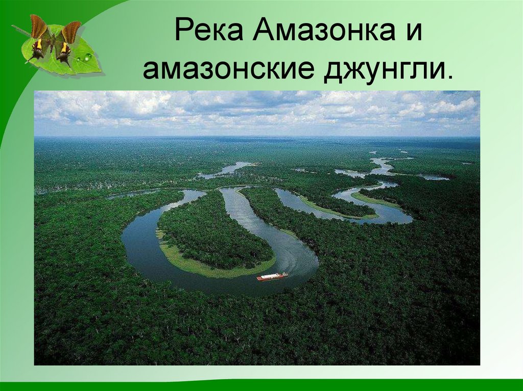 Река Амазонка и амазонские джунгли.