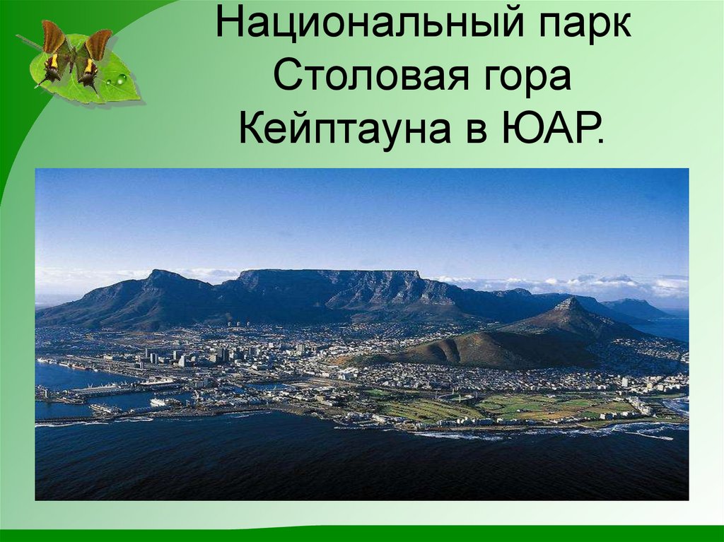 Национальный парк Столовая гора Кейптауна в ЮАР.