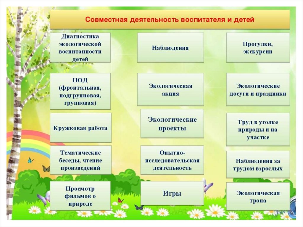 Природа планирования. Формы работы экологического воспитания. Экологическое воспитание дошкольников в ДОУ. Экологическая деятельность в ДОУ. Методы ознакомления детей с природой.