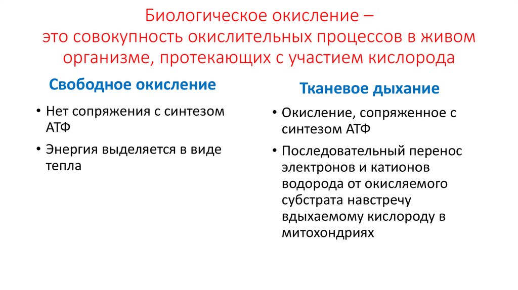 Совокупность протекающих в организме