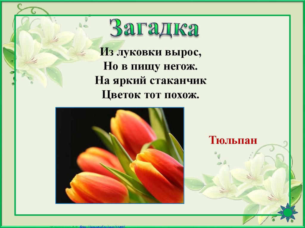 Загадка для детей ответ цветок. Загадка про тюльпан. Загадки к 8 марту. Стихи про тюльпаны.