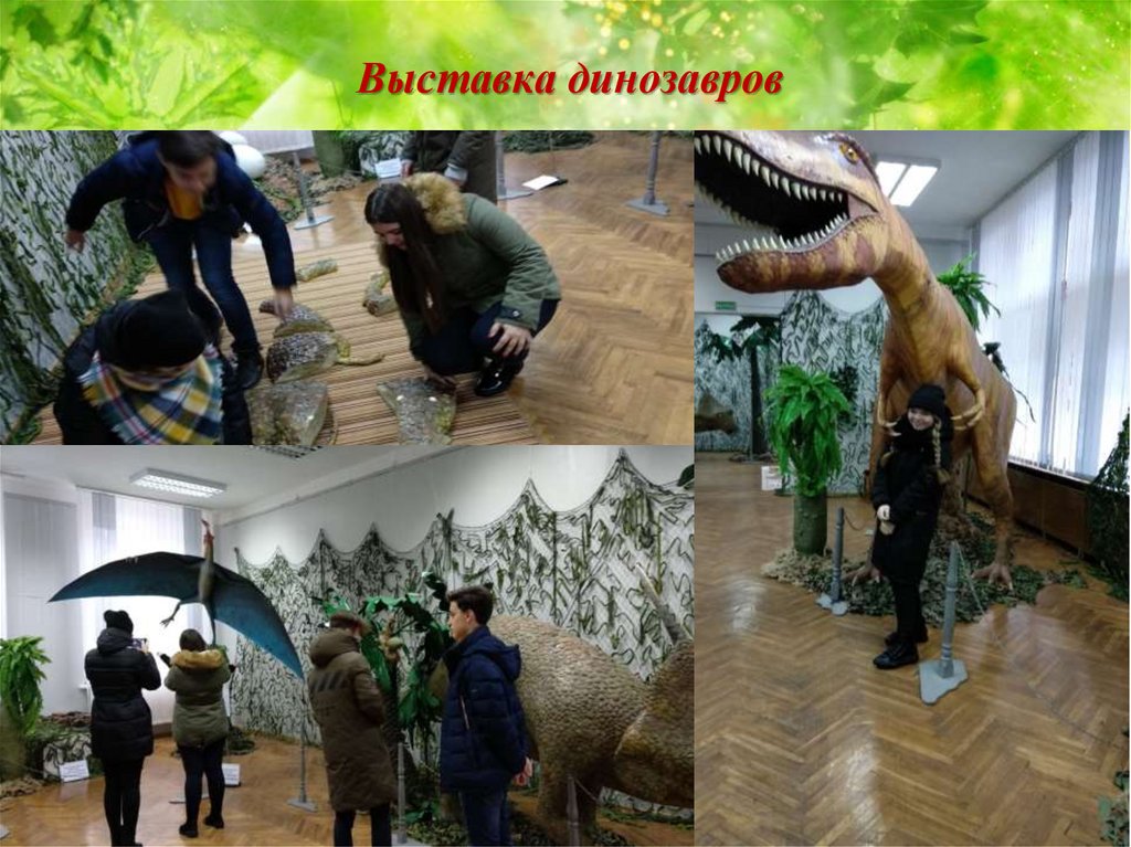 Выставка динозавров