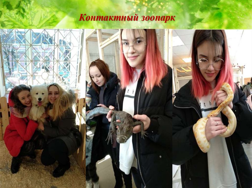 Контактный зоопарк