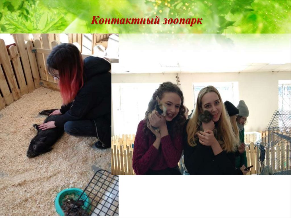 Контактный зоопарк