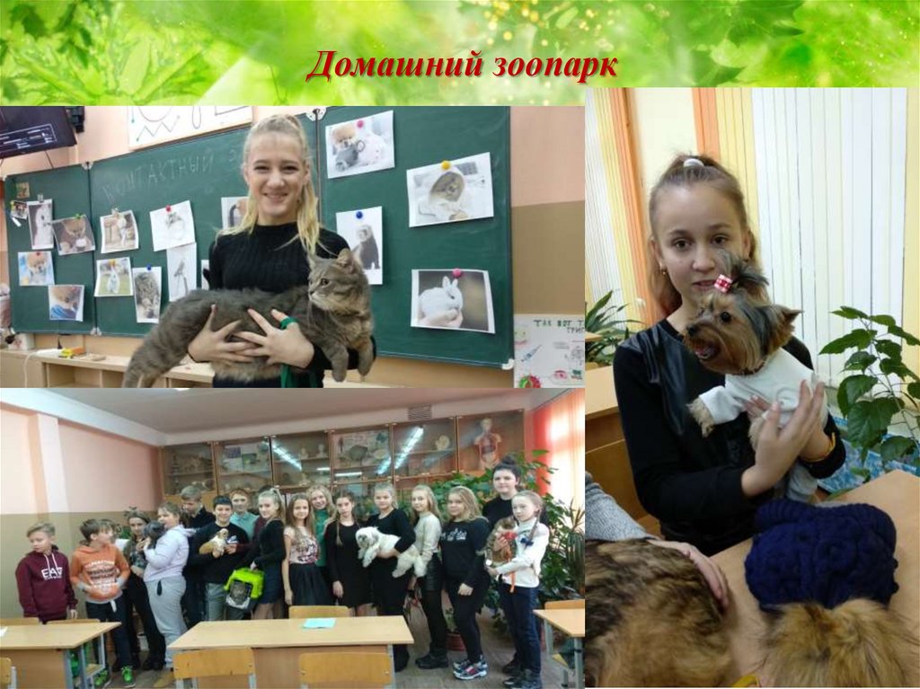 Домашний зоопарк