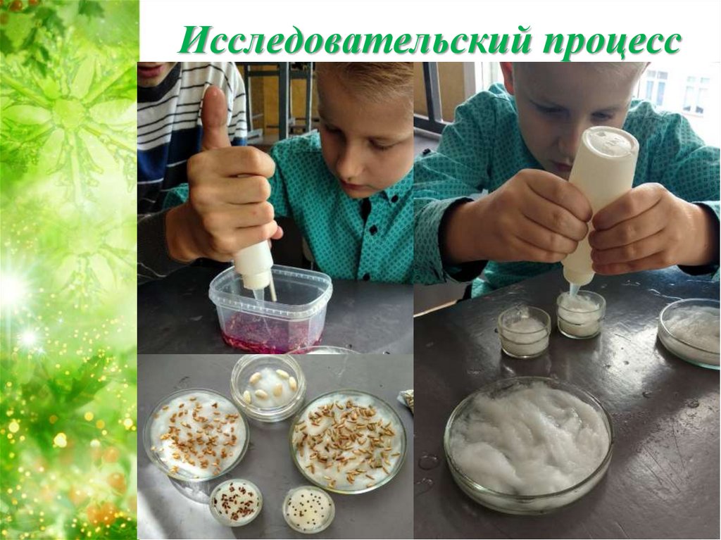 Исследовательский процесс