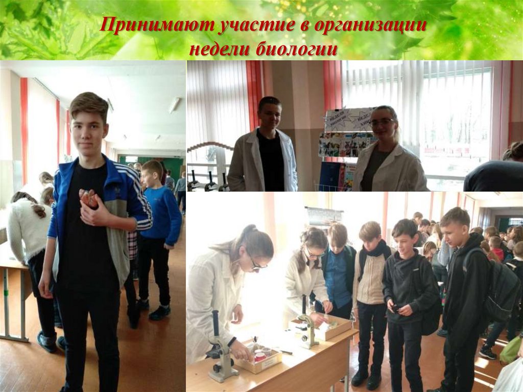 Принимают участие в организации недели биологии