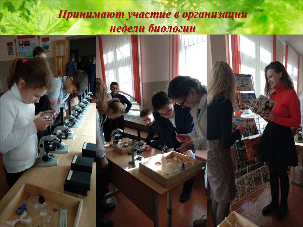 Принимают участие в организации недели биологии