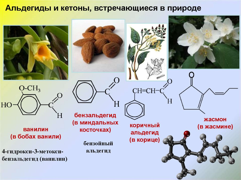 Проект ароматические вещества и их значение для человека по биологии