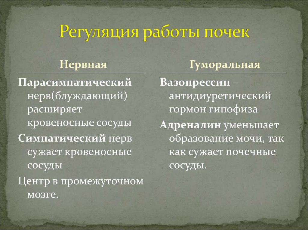 Регуляция работы почек