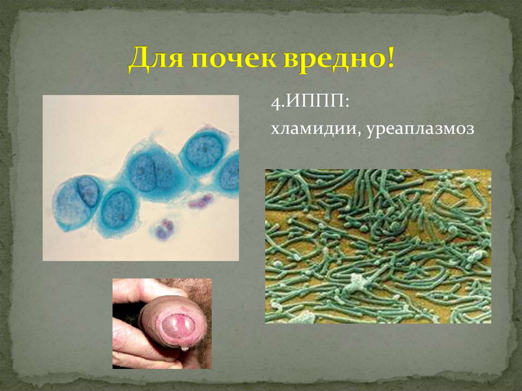 Для почек вредно!