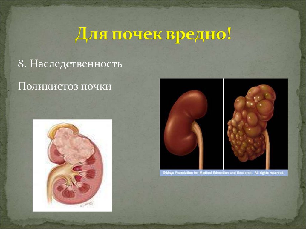 Для почек вредно!